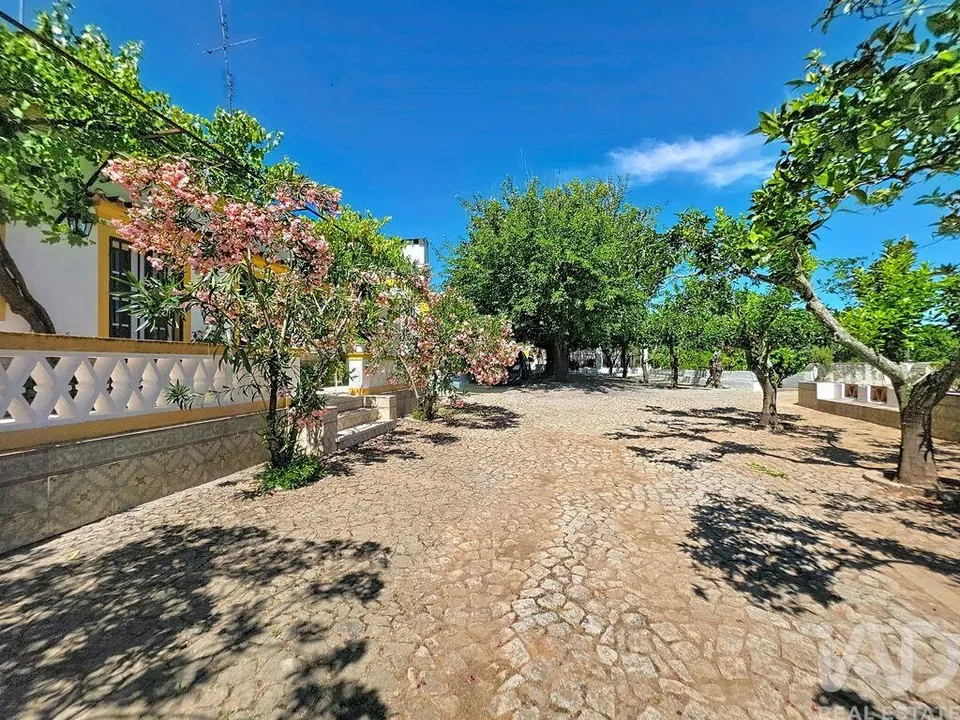 Gård i Elvas, Portalegre - bilde 1