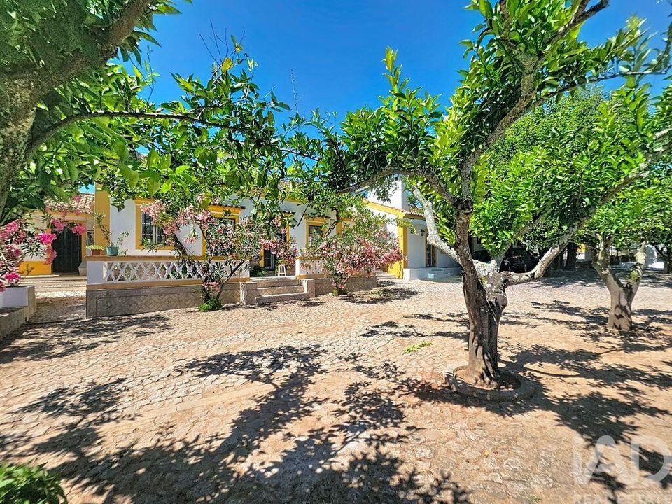 Gård i Elvas, Portalegre - bilde 2