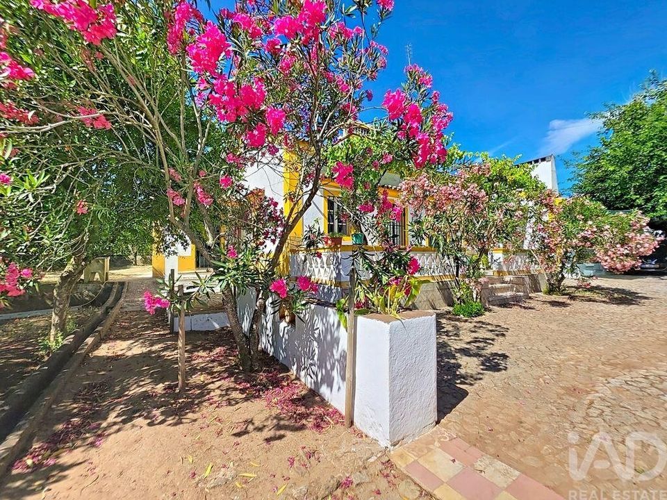 Gård i Elvas, Portalegre - bilde 3
