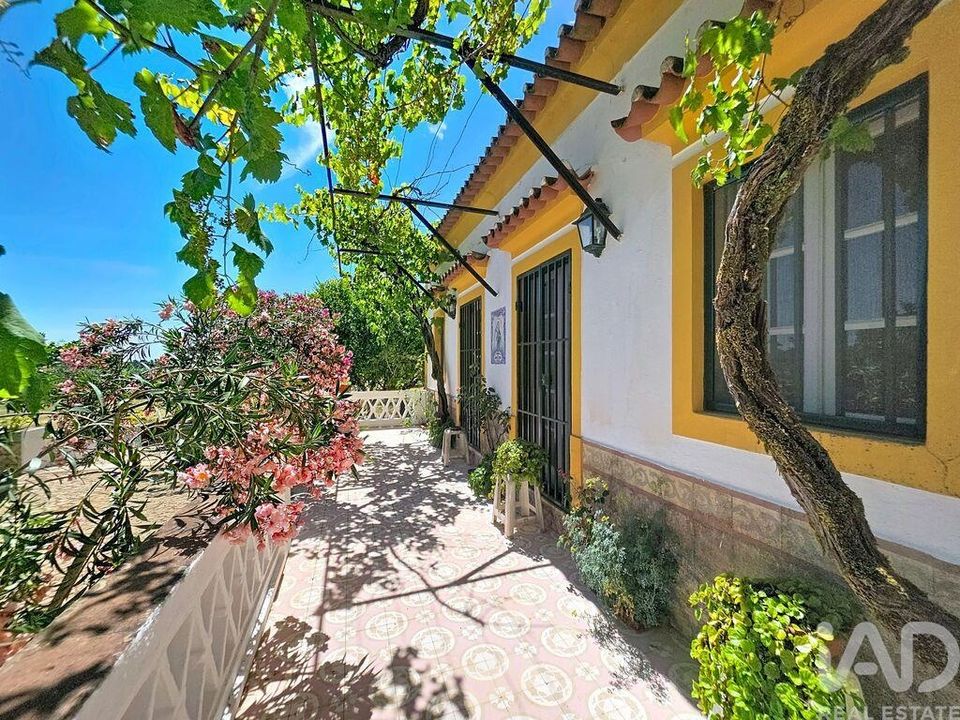 Gård i Elvas, Portalegre - bilde 4