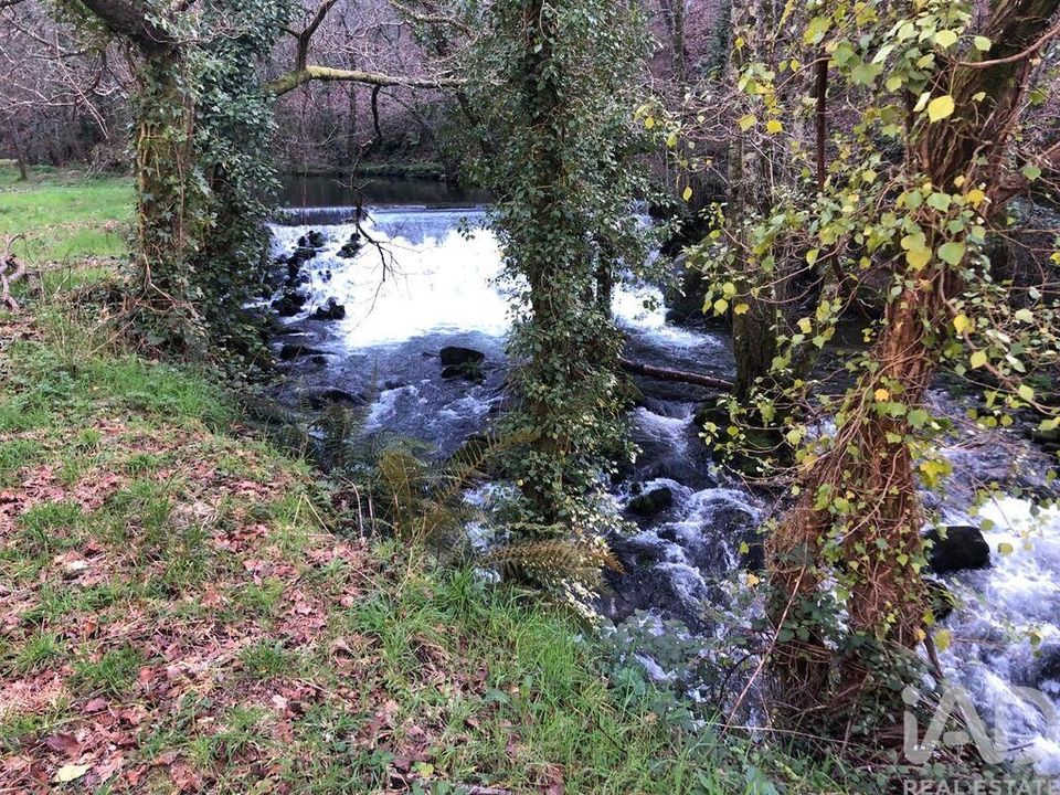 Tomt i Sao Pedro do Sul, Viseu - bilde 2