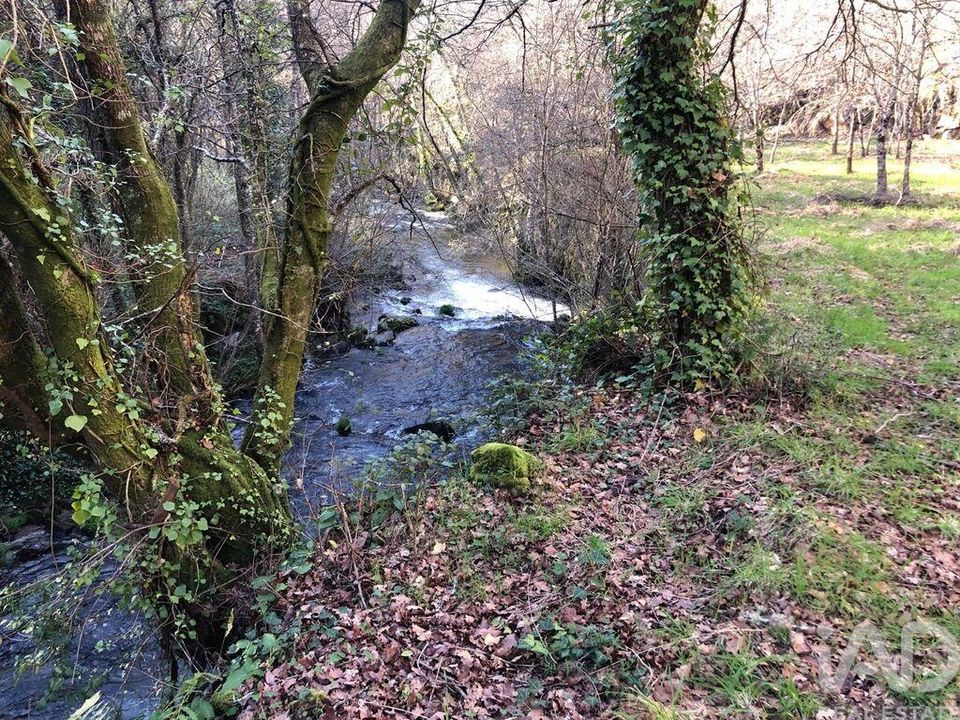 Tomt i Sao Pedro do Sul, Viseu - bilde 4
