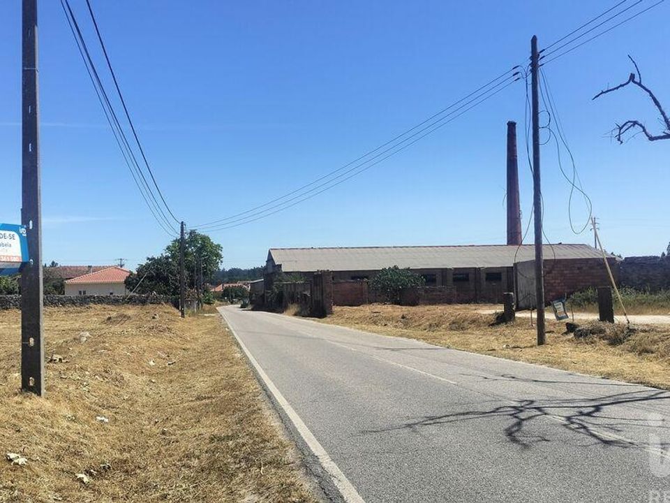 Terra a Tondela, Viseu - foto 4