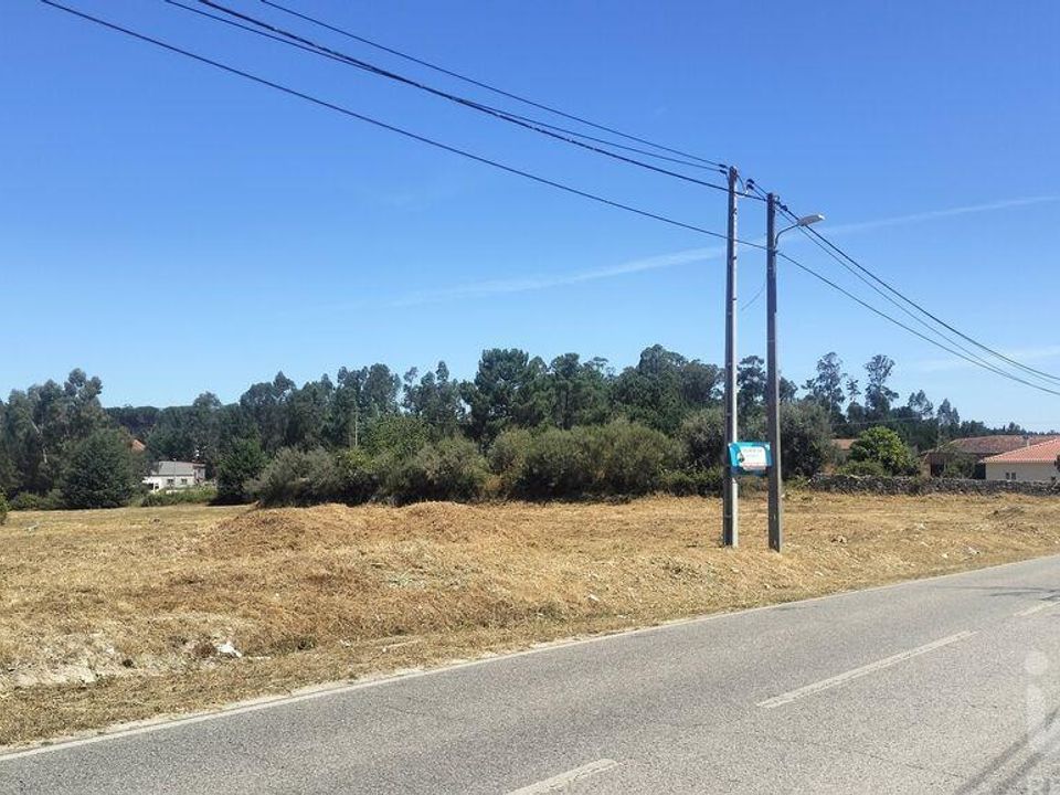 Terra a Tondela, Viseu - foto 5