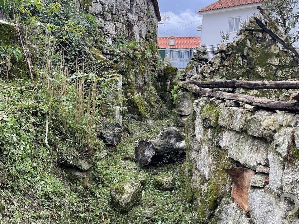Terrain - Amarante, Porto - photo 4