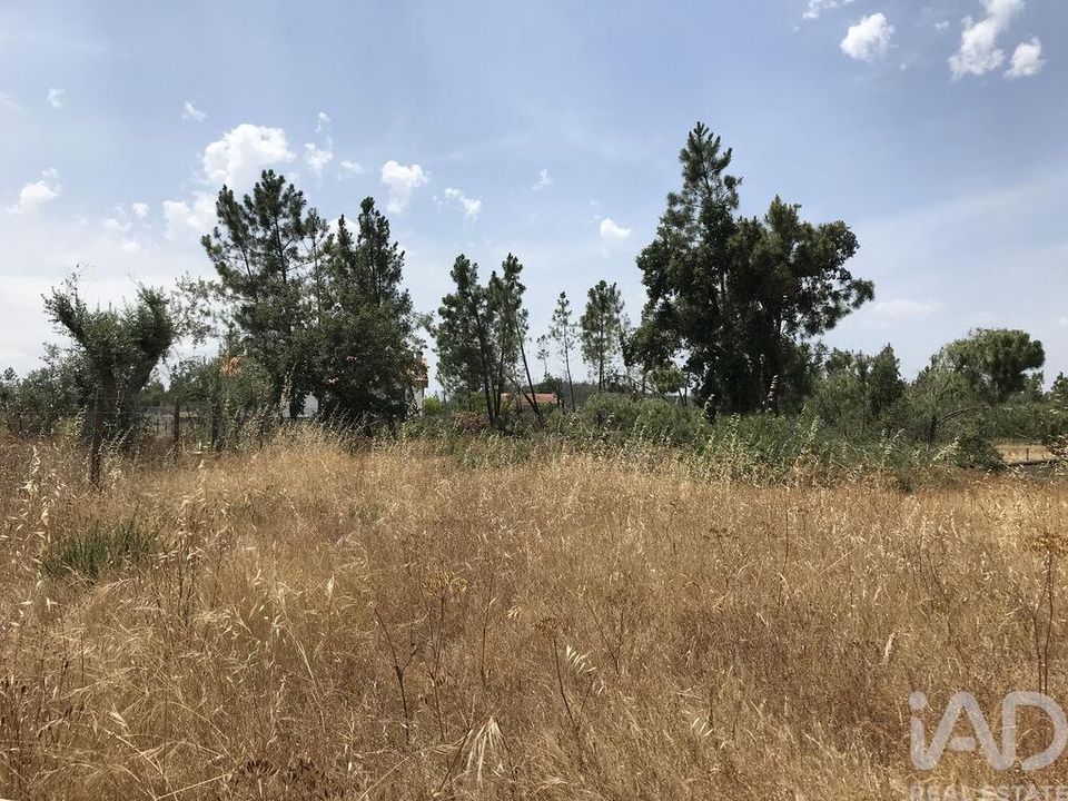 Grond in Ourem, Santarem - foto 1