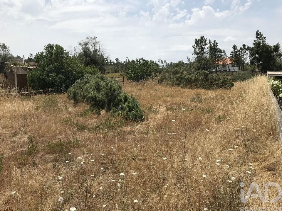 Grond in Ourem, Santarem - foto 2