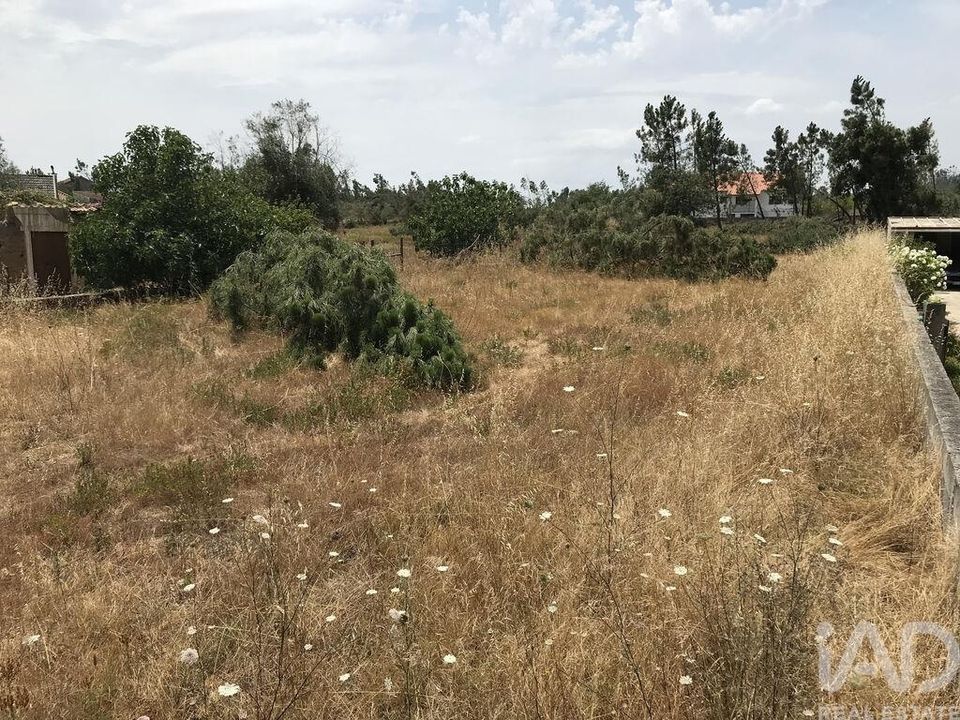 Grond in Ourem, Santarem - foto 3