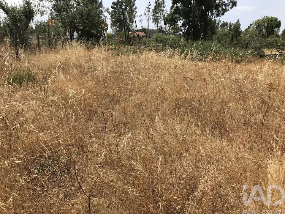 Grond in Ourem, Santarem - foto 4