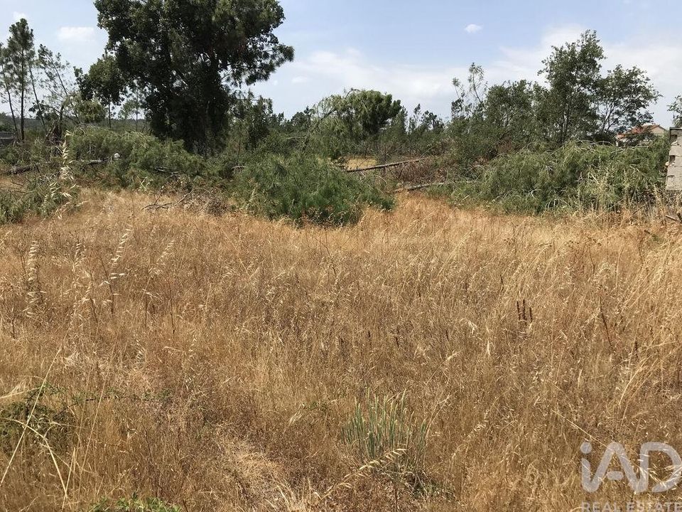 Grond in Ourem, Santarem - foto 5
