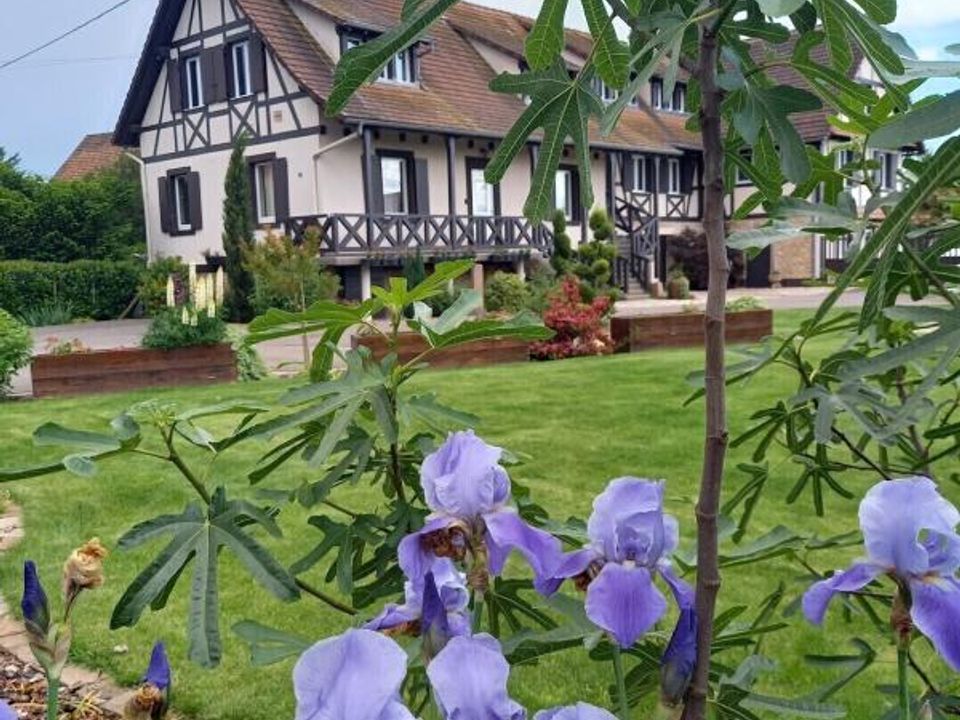 Casa rural em Benfeld, Bas-Rhin - foto 4