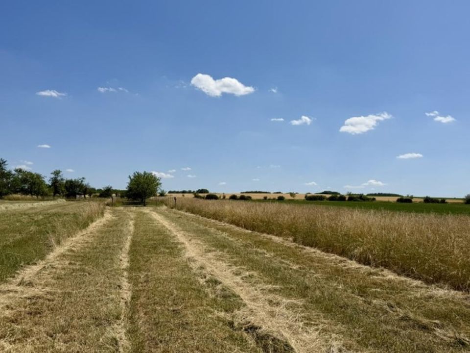 Terreno en Haraucourt, Meurthe-et-Moselle - foto 1