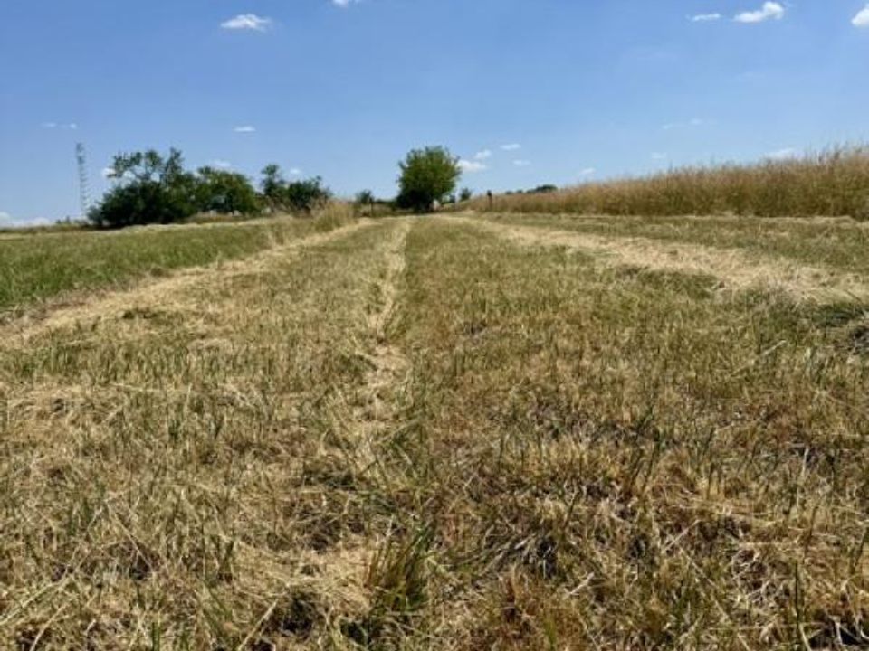 Terreno en Haraucourt, Meurthe-et-Moselle - foto 2