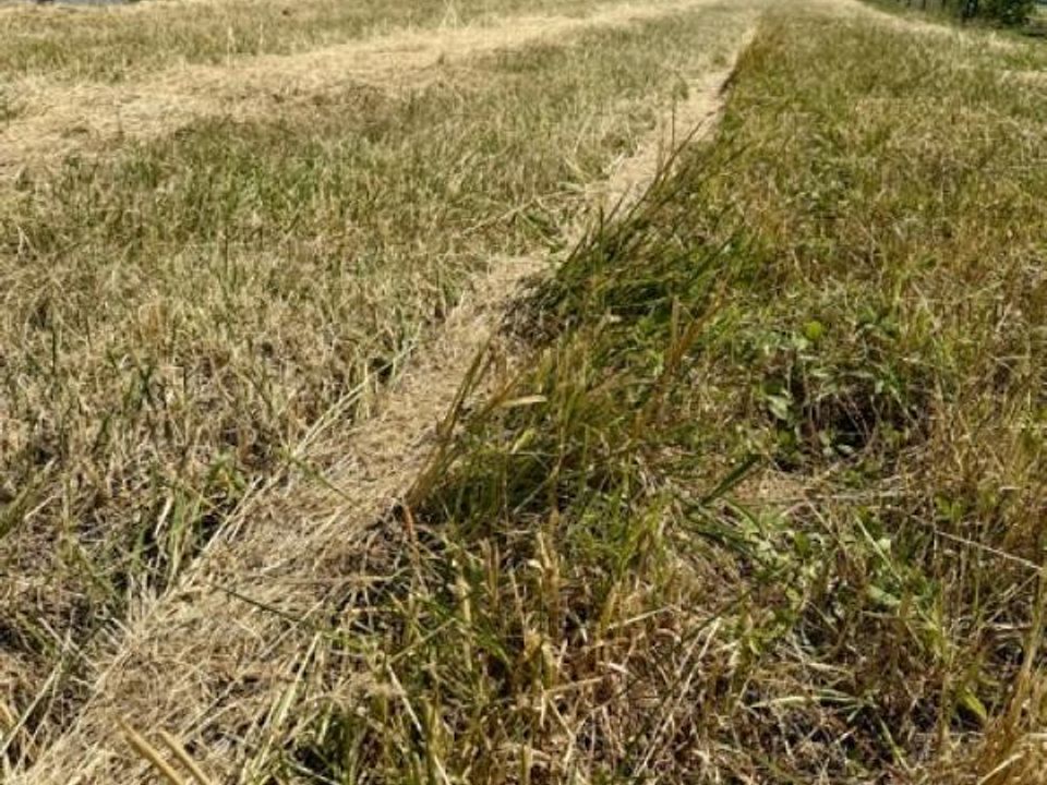 Terreno en Haraucourt, Meurthe-et-Moselle - foto 3