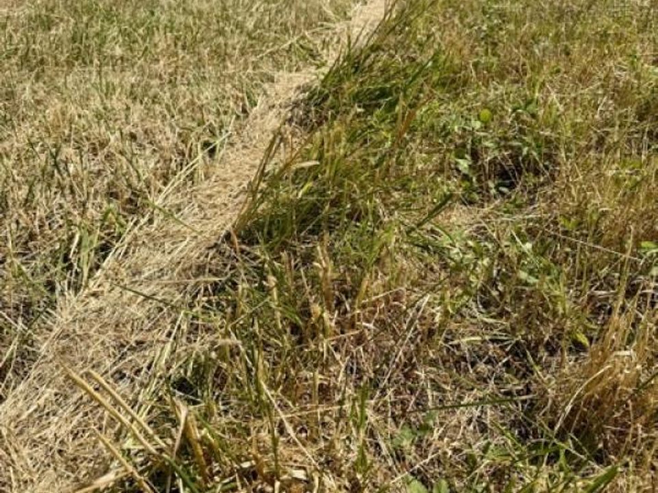 Terreno en Haraucourt, Meurthe-et-Moselle - foto 4
