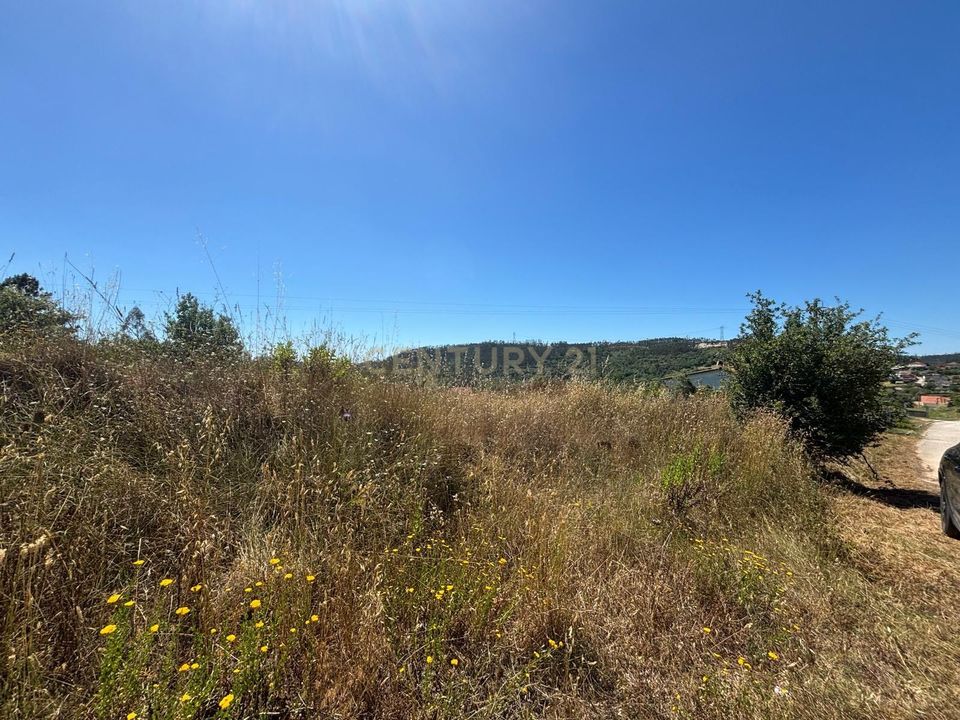 Helårsgrund i Pombal, Leiria - foto 2