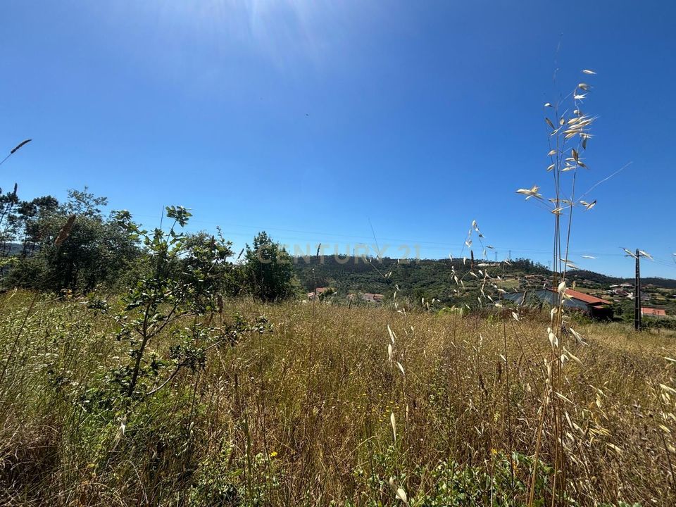 Helårsgrund i Pombal, Leiria - foto 3