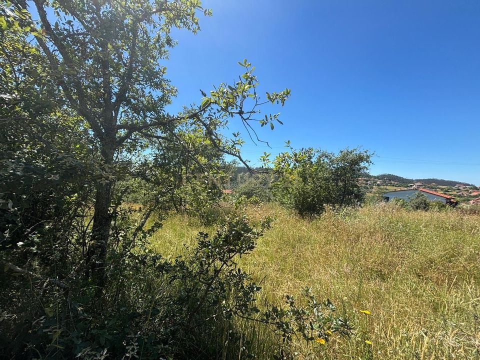 Helårsgrund i Pombal, Leiria - foto 4