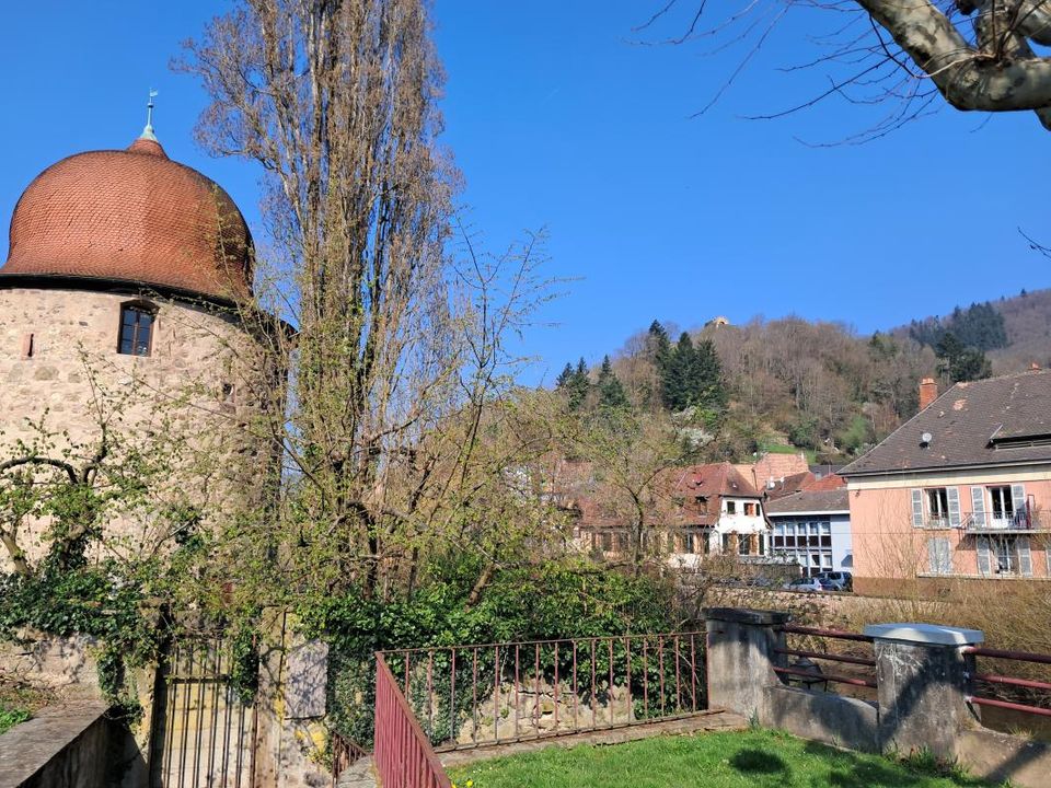 Leilighet i Thann, Haut-Rhin - bilde 3