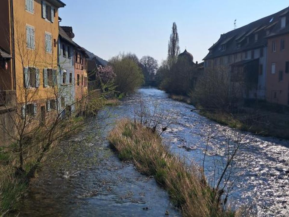 Leilighet i Thann, Haut-Rhin - bilde 5