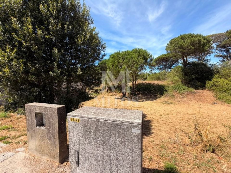 Terra em Darque, Viana do Castelo - foto 4