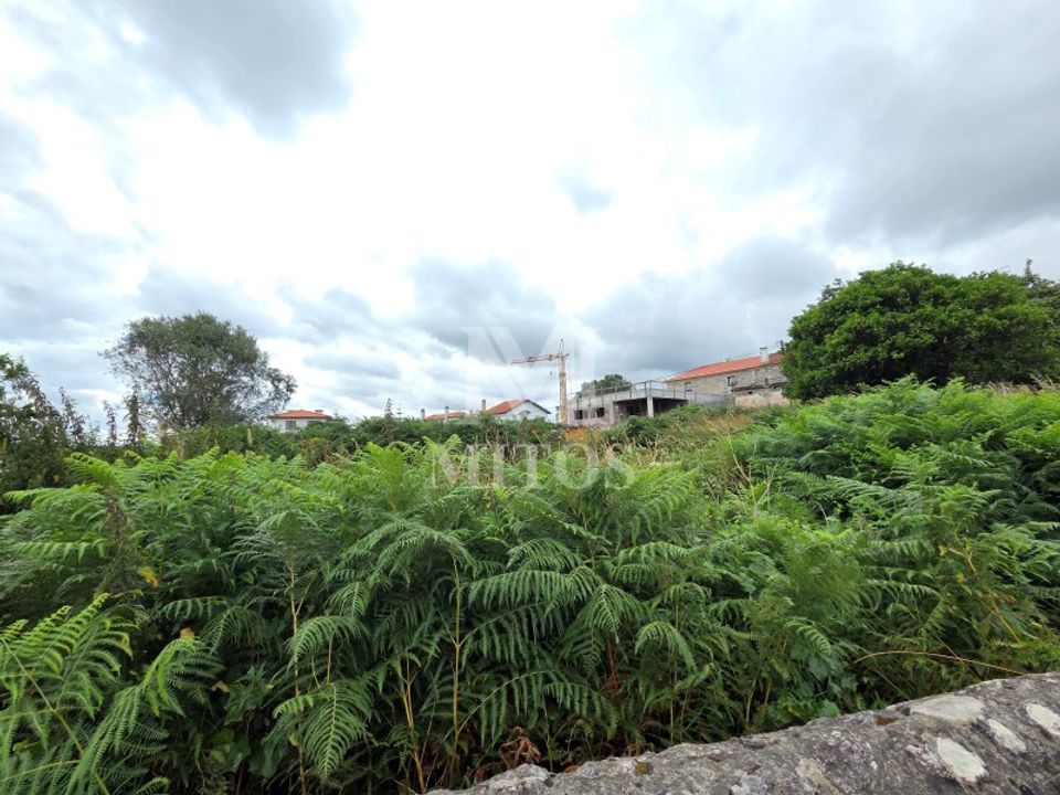 Terra em Darque, Viana do Castelo - foto 3