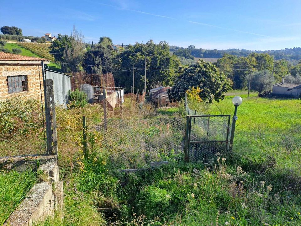 Terra a Amelia, Terni - foto 2
