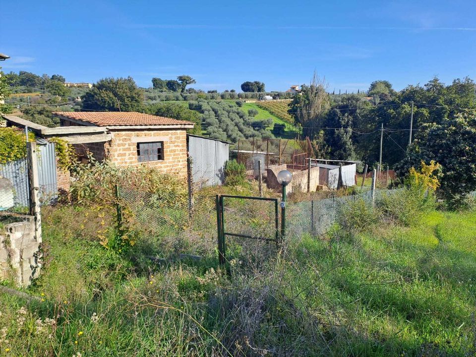 Terra a Amelia, Terni - foto 3