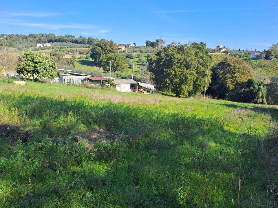 Terra a Amelia, Terni - foto 4