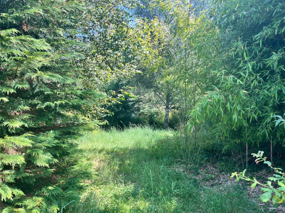 Terra em Treignac, Correze - foto 4