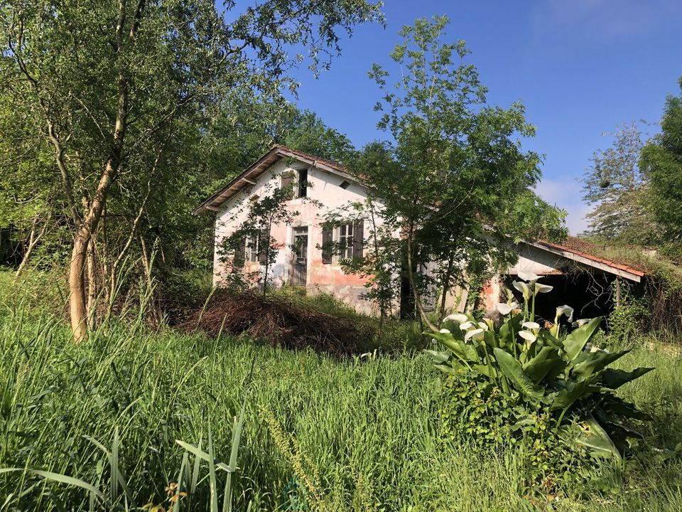 Erhvervsejendom i Poyanne, Landes - foto 1