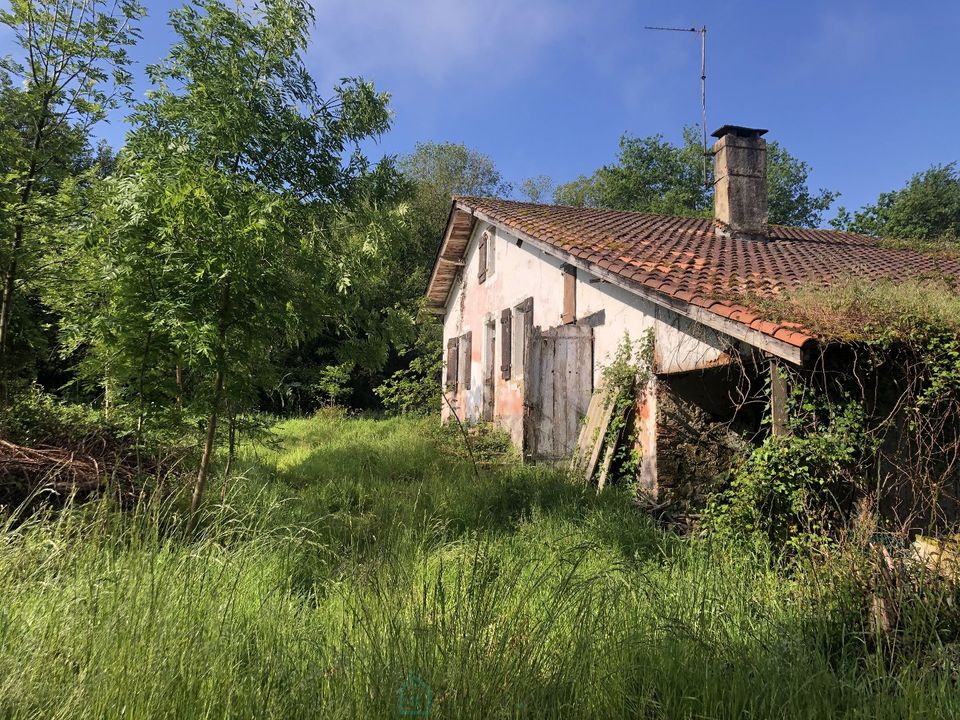 Erhvervsejendom i Poyanne, Landes - foto 2