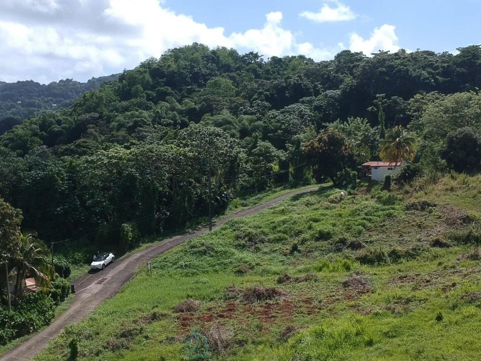 Tomt i Le Lamentin, Martinique - foto 3