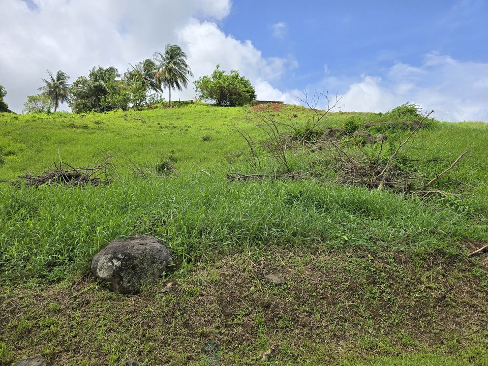 Tomt i Le Lamentin, Martinique - foto 5