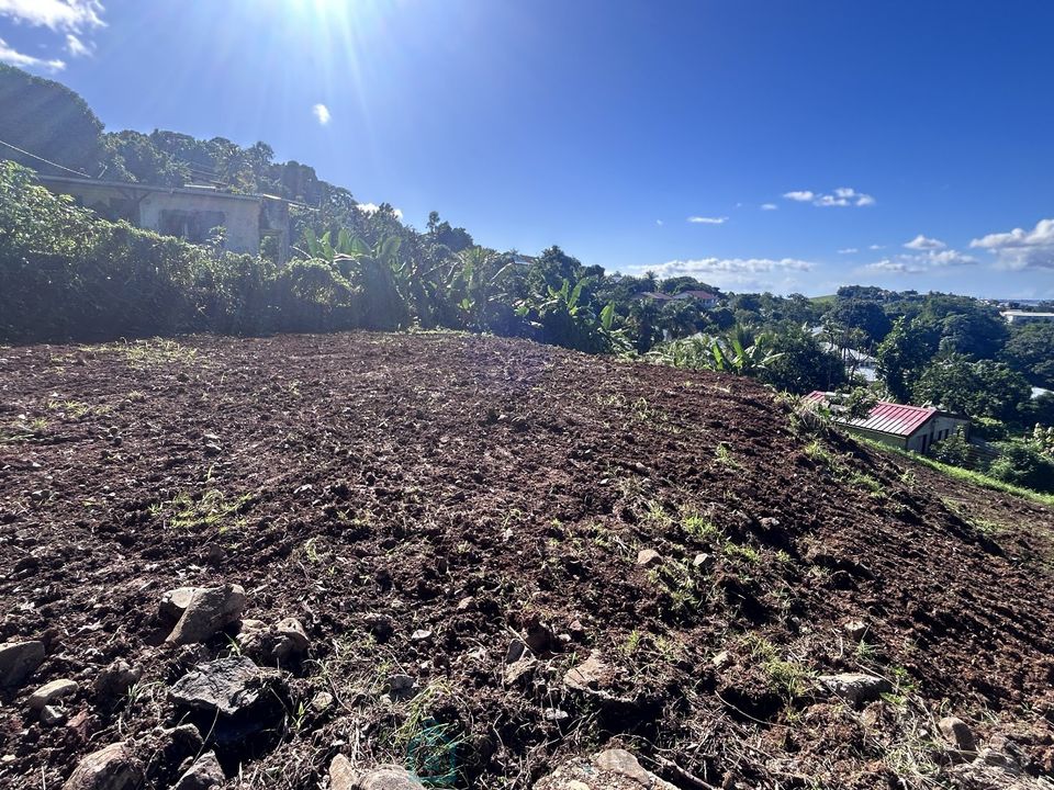 Tomt i Dikos, Martinique - foto 1