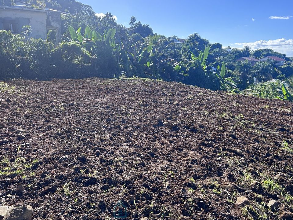 Tomt i Dikos, Martinique - foto 2