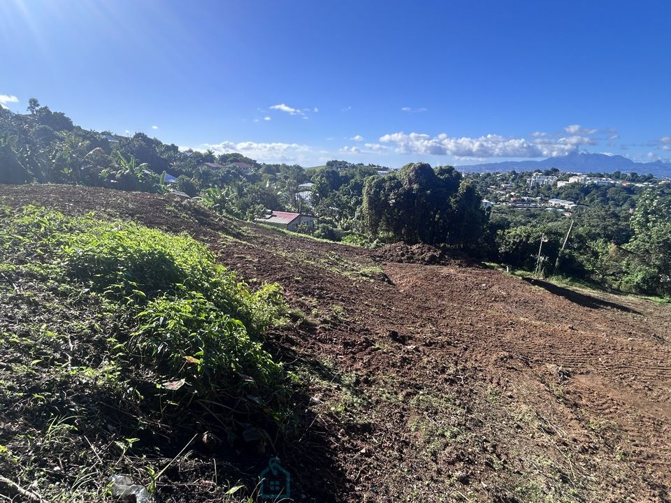Tomt i Dikos, Martinique - foto 4
