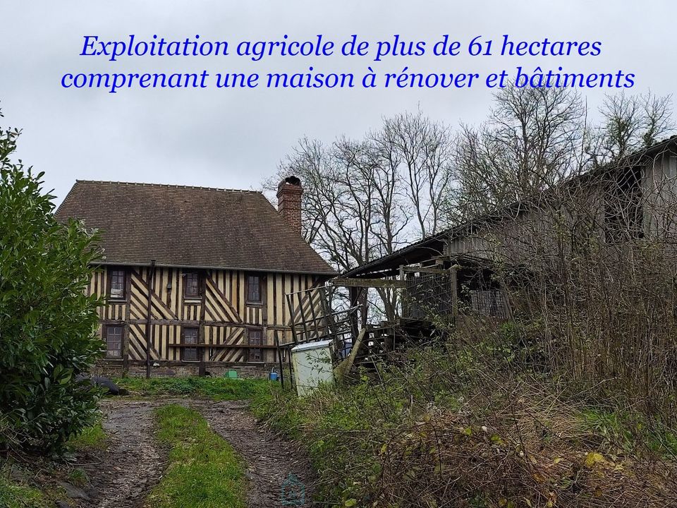 Farm i Livarot, Calvados - foto 1