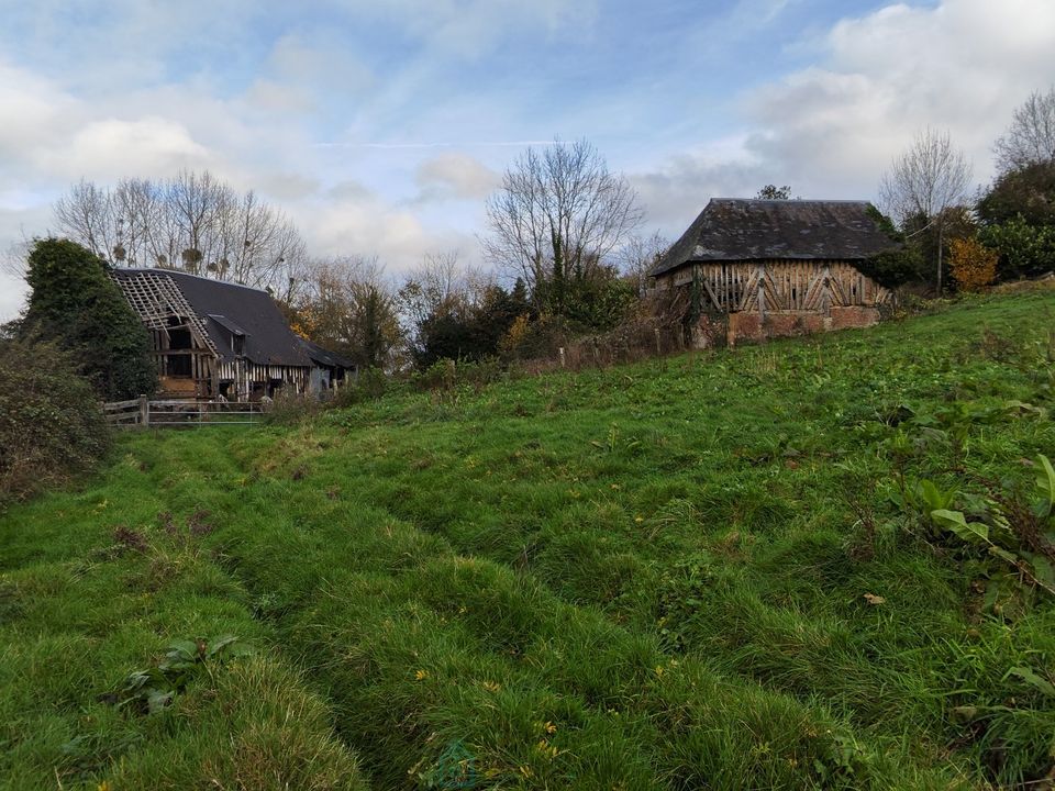 Farm i Livarot, Calvados - foto 3
