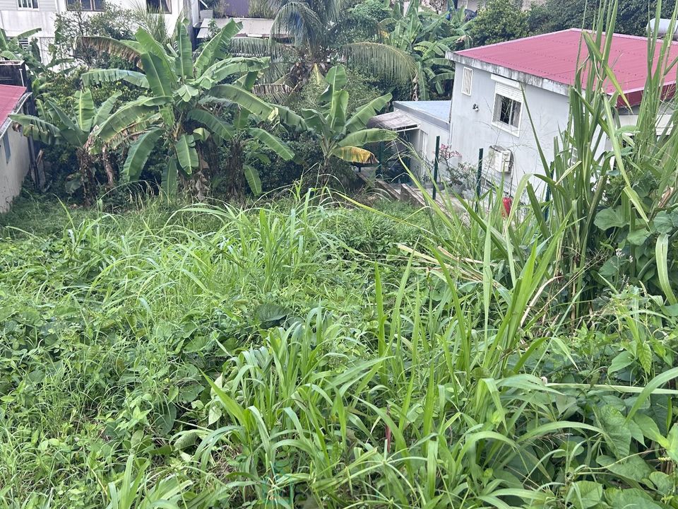 Grundstück in Fort-de-France, Martinique - Foto 2