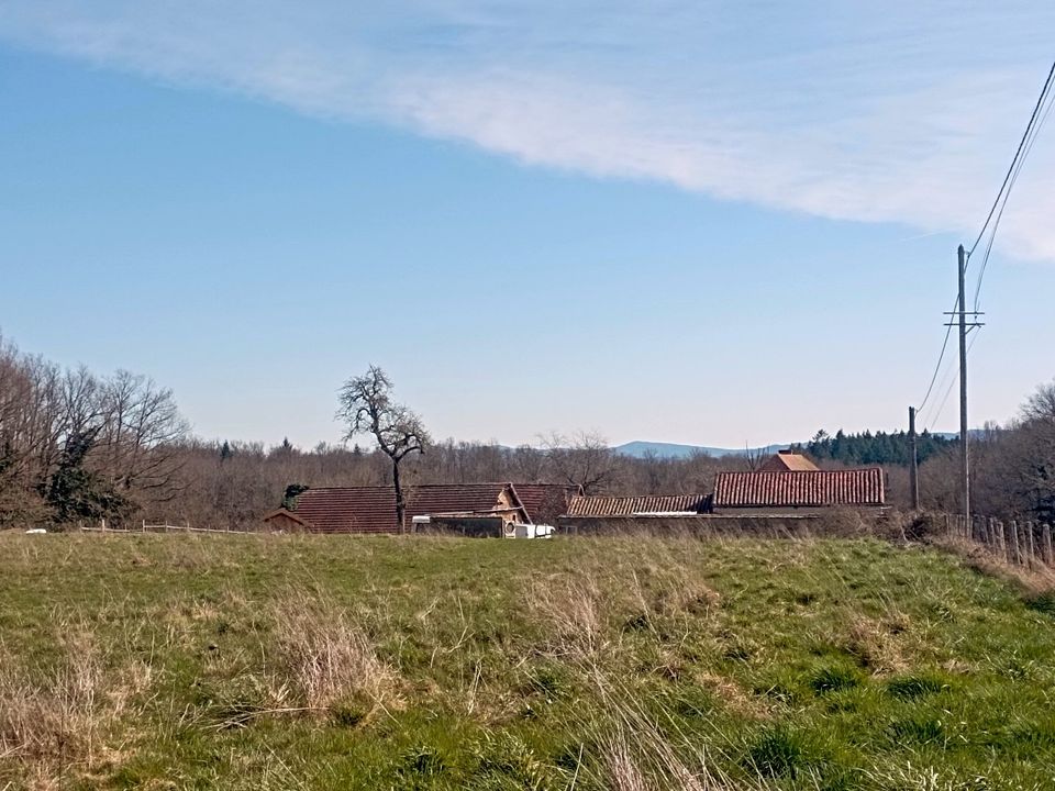 Haus in Saint-Pierre-la-Noaille, Loire - Foto 5