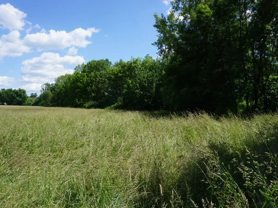 Grond in Thiviers, Dordogne - foto 2