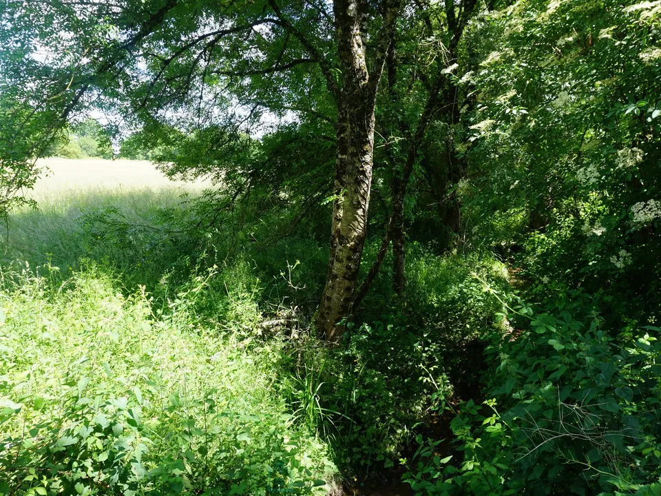 Grond in Thiviers, Dordogne - foto 3