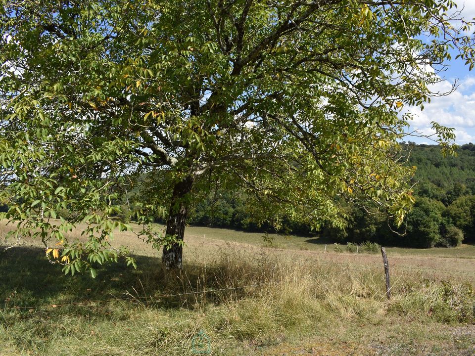 Farm hus i Eyliac, Dordogne - foto 5