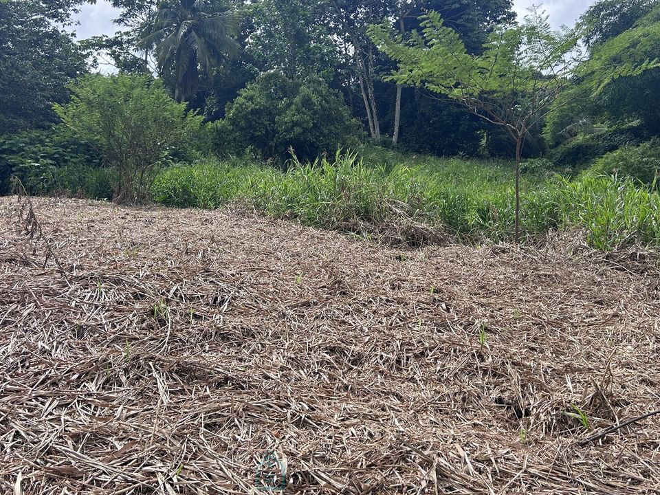 Tomt i Le Lamentin, Martinique - foto 1
