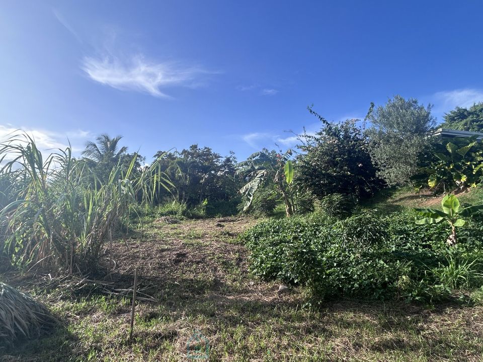 Helårsgrund i Riviere-Salee, Martinique - foto 1