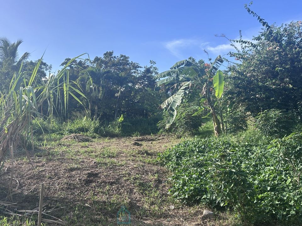 Helårsgrund i Riviere-Salee, Martinique - foto 2