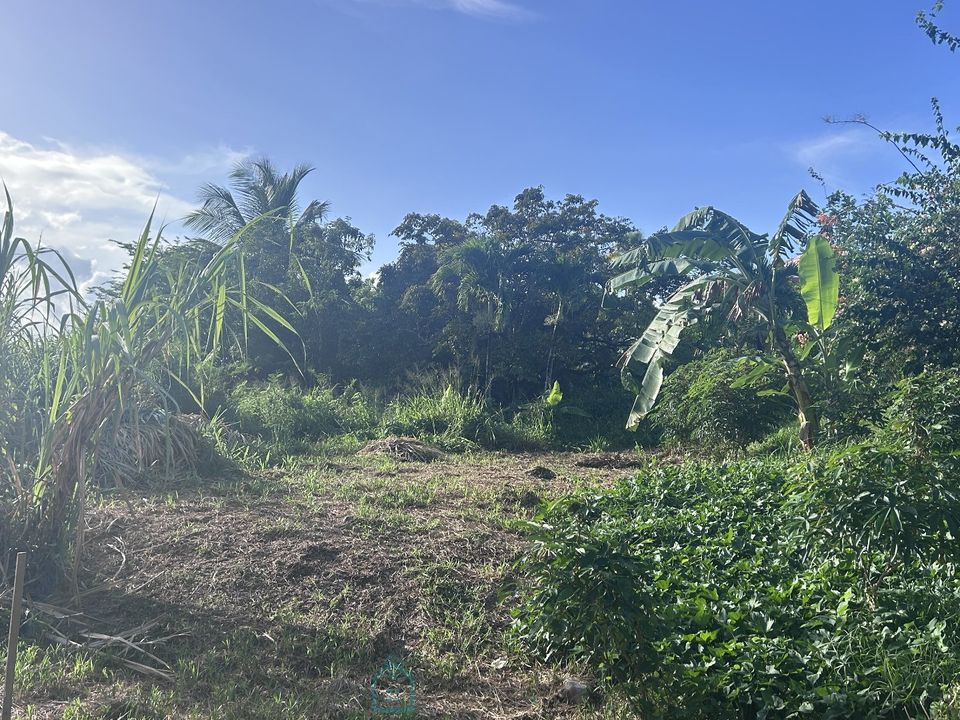 Helårsgrund i Riviere-Salee, Martinique - foto 3