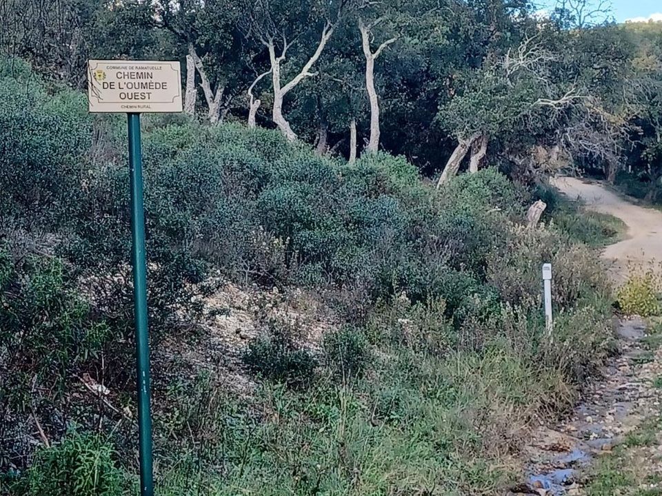 Tomt i Ramatuelle, Var - bilde 2