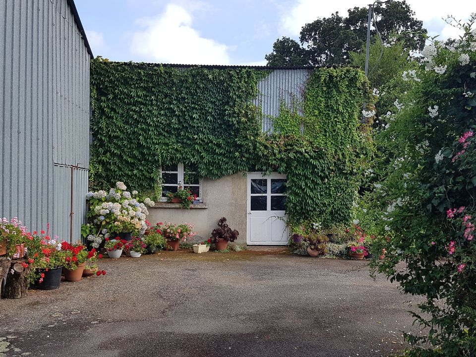 Hus på landet i Moréac, Morbihan - foto 3